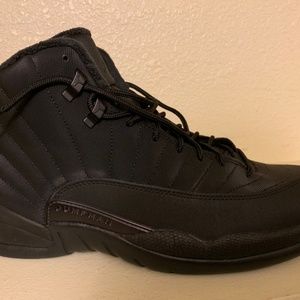 Jordan retro 12 winterized